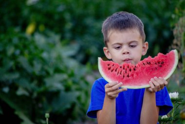A child eats a watermelon. Selective focus. Nature