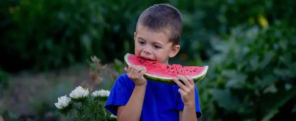 Child Eats Watermelon Selective Focus Nature — Stock Photo, Image