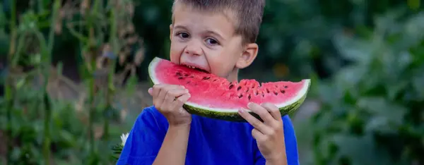 Child Eats Watermelon Selective Focus Nature —  Fotos de Stock