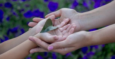 Anne ve oğul ellerinde yeşil bir yaprak tutuyorlar. Seçici odaklanma. Doğa