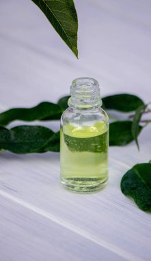 Küçük bir şişedeki bitkisel yağ. Seçici odaklanma. Doğa