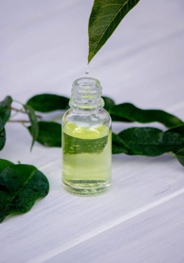 Küçük bir şişedeki bitkisel yağ. Seçici odaklanma. Doğa