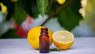 Limon esanslı yağ bir yapraktan damlıyor. Seçici odaklanma. Doğa