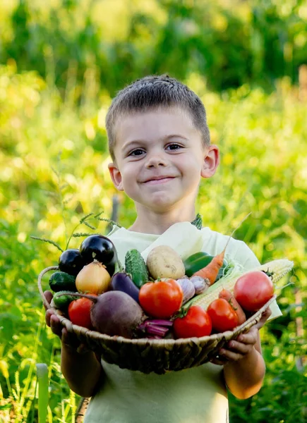 Niño Jardín Sosteniendo Tazón Verduras Recién Recogidas Enfoque Selectivo — Foto de Stock