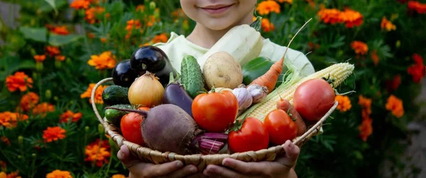 Niño Jardín Sosteniendo Tazón Verduras Recién Recogidas Enfoque Selectivo — Foto de Stock