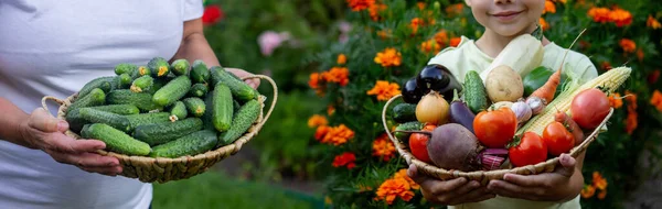 新鮮な野菜の器を持った庭の少年 選択的焦点 — ストック写真