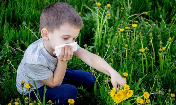 Barnet Allergisk Mot Vårblommor Selektiv Inriktning — Stockfoto