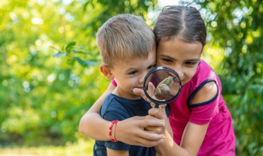 Çocuk salyangoz doğasına bakıyor. Seçici odaklanma. Hayvan..