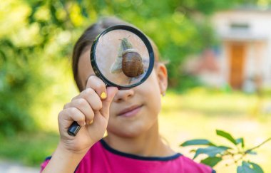 Çocuk salyangoz doğasına bakıyor. Seçici odaklanma. Hayvan..