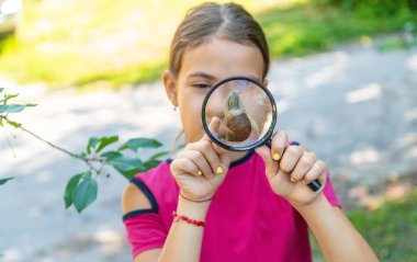 Çocuk salyangoz doğasına bakıyor. Seçici odaklanma. Hayvan..