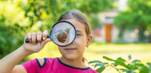 Child Looks Snail Nature Selective Focus Animal — Stock Photo, Image