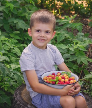 Çocuk elinde bir kase taze toplanmış ahududu tutuyor. Seçici odaklanma. Doğa
