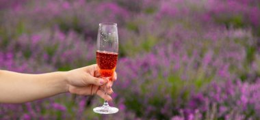 Kız lavanta tarlasında şampanya içiyor. Seçici odaklanma. Doğa