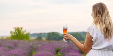 Kız lavanta tarlasında şampanya içiyor. Seçici odaklanma. Doğa