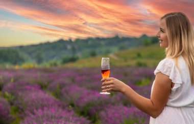 Kız lavanta tarlasında şampanya içiyor. Seçici odaklanma. Doğa