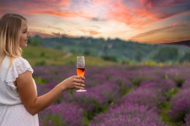 Kız lavanta tarlasında şampanya içiyor. Seçici odaklanma. Doğa