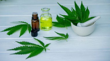 Beyaz arka planda kenevir yağı özü, kenevir yaprağı. Seçici odaklanma. Doğa