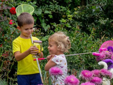 Çocuklar kavanozda kelebek yakalar. Seçici odaklanma. Doğa
