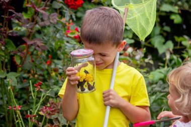Çocuklar kavanozda kelebek yakalar. Seçici odaklanma. Doğa