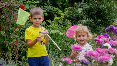 Çocuklar kavanozda kelebek yakalar. Seçici odaklanma. Doğa
