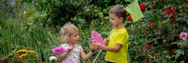 Παιδιά Πιάνουν Πεταλούδες Ένα Βάζο Επιλεκτική Εστίαση Φύση — Φωτογραφία Αρχείου