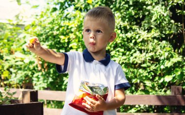 Bir çocuk parkta cips yiyor. Seçici odaklanma. Doğa