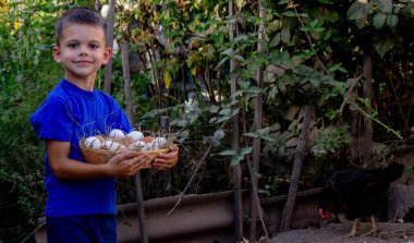 Çocuk elinde tavuk yumurtaları olan bir sepeti çiftliğin arka planında tutuyor. Seçici odak.