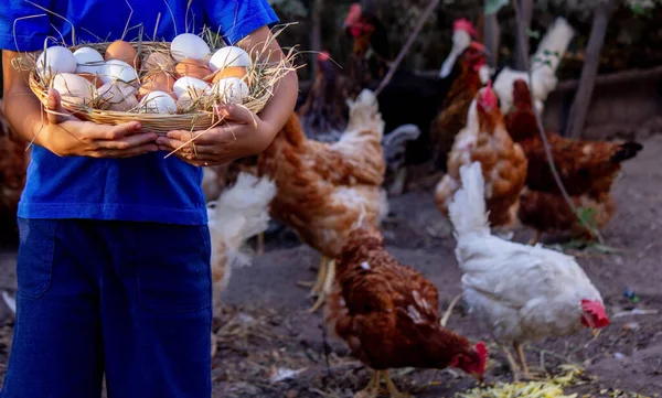 Çocuk elinde tavuk yumurtaları olan bir sepeti çiftliğin arka planında tutuyor. Seçici odak.