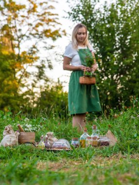 Kadın şifalı bitkiler topluyor. Seçici odaklanma. Doğa.