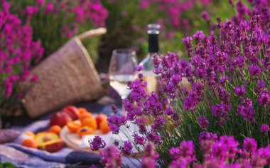 şarap, meyve, çilek, peynir, bardaklar lavanta tarlasında piknik seçici odak