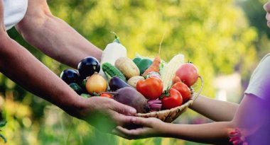 Bir kadın ve bir çocuk taze toplanmış organik sebzelerle dolu bir sepet tutuyorlar. Seçici odak