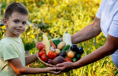 Bir kadın ve bir çocuk taze toplanmış organik sebzelerle dolu bir sepet tutuyorlar. Seçici odak
