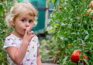 Güzel bir kız kameraya bakar ve burnunu karıştırır. seçici odak