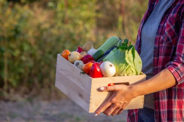 Elinde taze sebzelerle dolu tahta bir sandık tutan kadın çiftçi..