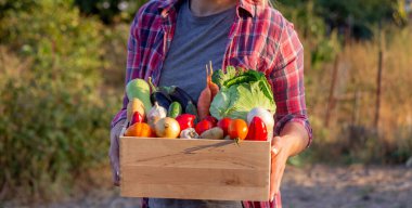 Elinde taze sebzelerle dolu tahta bir sandık tutan kadın çiftçi..