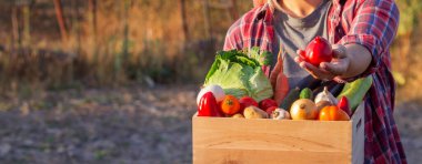 Elinde taze sebzelerle dolu tahta bir sandık tutan kadın çiftçi..