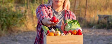 Elinde taze sebzelerle dolu tahta bir sandık tutan kadın çiftçi..