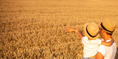 Çiftçi ve oğlu buğday tarlaları. Seçici bir odak noktası.