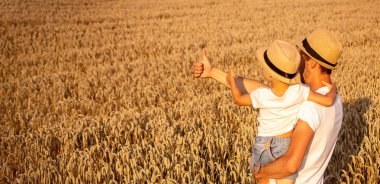 Çiftçi ve oğlu buğday tarlaları. Seçici bir odak noktası.