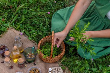Bir kadın bitkisel tentür üretiyor. Seçici odaklanma. Doğa.