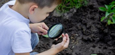 Çocuk bir büyüteçle zemini inceler. Seçici odaklanma. Doğa.