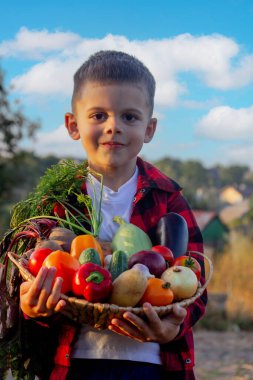 Bir çocuk bahçede bir sepetin içinde sebze tutuyor. Seçici odaklanma. Bebeğim.