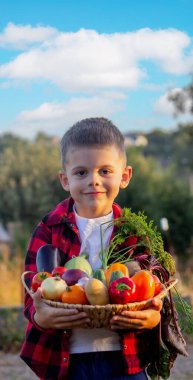 Bir çocuk bahçede bir sepetin içinde sebze tutuyor. Seçici odaklanma. Bebeğim.