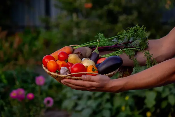 male farmer holding a basket with vegetables on the background of nature.