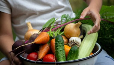 Bahçedeki kasede sebze yetiştiren bir çocuğun elleri.