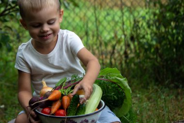 Bahçedeki kasede sebze yetiştiren bir çocuğun elleri.