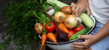 Bahçedeki kasede sebze yetiştiren bir çocuğun elleri.