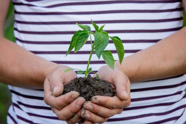 Doğa arka planında el ele tutuşmalar