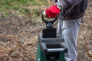 Bahçede çalış. Ağaçların dallarını ve böğürtlen çalılarını kesen adam. Seçici odak.