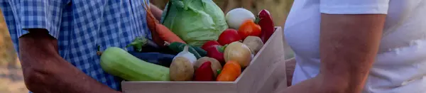 two farmers stand together with a box full of freshly picked vegetables in a local farmland. Concept of organic food and sustanable lifestyle